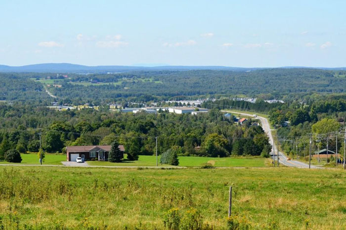 Pierre-Olivier Chiasson et Marco De Francesco courtiers immobiliers - RE/MAX D'ABORD à Valcourt